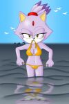  2018 5_fingers anthro anthro_focus avian beach bedroom_eyes biped bird black_nose blaze_the_cat breasts cetacean cleavage clothed clothing delphinoid digital_media_(artwork) eyebrows eyelashes female feral fingers forehead_gem fur glistening grin group gull hi_res holding_bikini_bottom lari larid looking_at_viewer mammal marine narrowed_eyes naughty_face navel partially_submerged purple_body purple_fur raised_eyebrow reflection sea seaside seductive sega sergeant16bit sky smile solo_focus sonic_the_hedgehog_(series) standing toothed_whale water water_reflection yellow_eyes 