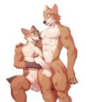  abs anthro balls big_penis canid canine disney duo erection fox fur genitals green_eyes hand_on_penis handjob hi_res humanoid_genitalia humanoid_penis jrjresq looking_at_another looking_at_partner male male/male mammal muscular muscular_anthro muscular_male nick_wilde nude open_mouth orange_body orange_fur pecs penile penis penis_grab sex simple_background smile white_background zootopia 