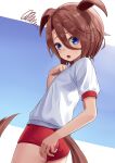  1girl animal_ears ass bangs blue_background blue_eyes brown_hair buruma commentary_request doonatsu. gym_shirt gym_uniform hair_between_eyes hand_up horse_ears horse_girl horse_tail narita_taishin_(umamusume) parted_bangs puffy_short_sleeves puffy_sleeves red_buruma shirt short_sleeves solo squiggle tail two-tone_background umamusume white_background white_shirt 