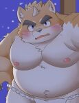  anthro asian_clothing belly blush canid canine canis clothing domestic_dog east_asian_clothing eyebrows fundoshi fupa fur hi_res japanese_clothing looking_at_viewer male mammal musashi_(tamacolle) musclegut navel nipples orange_body orange_fur pecs puss3250 solo tamacolle thick_eyebrows underwear 
