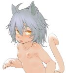  1girl ahoge animal_ears animal_hands blue_hair blush breasts cat_ears cat_tail collarbone hair_between_eyes hawthorn highres looking_at_viewer nipples open_mouth original short_hair simple_background small_breasts solo tail whiskers white_background yellow_eyes 