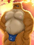  2022 animal_crossing anthro asian_clothing balls_outline belly big_belly blue_clothing blue_eyes blue_fundoshi blue_underwear brown_body brown_fur bulge canid canine clothing east_asian_clothing fundoshi fur genital_outline hi_res humanoid_hands japanese_clothing kemono male mammal mayukemo_gfox moobs nintendo nipples raccoon_dog solo tanuki tom_nook_(animal_crossing) underwear video_games 