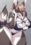  2022 anthro blush bra breasts canid canine clothed clothing digital_media_(artwork) female female_anthro fur hair hi_res kemono looking_at_viewer mammal panties sai_(artist) solo underwear underwear_only 