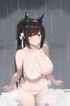  1girl animal_ear_fluff animal_ears atago_(azur_lane) atago_(summer_march)_(azur_lane) azur_lane bangs bikini black_hair blush breasts choker cleavage cloud cloudy_sky collarbone cowboy_shot dog_ears extra_ears flower hair_flower hair_ornament large_breasts long_hair looking_at_viewer mole mole_under_eye navel outdoors ponytail rain sa_(nax49) see-through sidelocks sky smile solo swept_bangs swimsuit thighs wading wet wet_clothes white_bikini white_choker yellow_eyes 