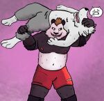  anottermasked anthro arkulus back_breaker barazoku big_vs_small canid canine canis domestic_dog duo male male/male mammal muscular submission_hold submissive torture_rack torture_rack_(wrestling_move) ursid wolf wrestling 