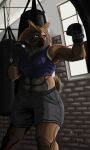  anthro bag black_nose blue_eyes bottomwear boxing boxing_gloves brick_wall canid canine canis ceiling chain clothed clothing domestic_dog eurasier eyebrows female fur gym gym_bottomwear gym_clothing gym_shorts hair handwear ill_oracle looking_away mammal overweight punching_bag serious_face shorts simple_background solo spitz sport sportswear standing wall_(structure) window 