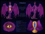  absurd_res anthro anus blue_anus blue_clitoris blue_labia_minora blue_nipples brown_sclera clitoris dragon female front_view genitals glistening glistening_eyes hi_res himeragoldtail horn membrane_(anatomy) membranous_wings model_sheet nipples nude perineum pupils purple_body purple_breasts purple_scales purple_wings pussy pussy_close-up rear_view scales scalie simple_background slit_pupils solo spread_legs spreading standing wings yellow_body yellow_eyes yellow_horn yellow_pussy yellow_scales 