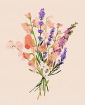  bouquet commentary english_commentary flower grey_background highres lavender_(flower) leaf libbyframe no_humans original pink_flower plant purple_flower signature simple_background still_life sweet_pea white_flower 