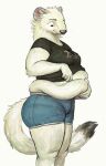 anthro belly belly_overhang big_belly bottomwear cettus chubby_female clothing crop_top fat_rolls female fur hi_res holding_stomach hotpants japanese_text lifting_belly looking_down mammal maren_sommer mustela mustelid musteline overweight overweight_anthro overweight_female shirt shorts simple_background solo standing stoat text topwear true_musteline white_background white_body white_fur 