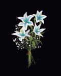  baby&#039;s-breath black_background blue_flower bouquet commentary commission english_commentary flower flower_focus highres leaf libbyframe lily_(flower) no_humans plant signature silent_princess simple_background still_life the_legend_of_zelda the_legend_of_zelda:_breath_of_the_wild 