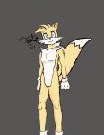  absurd_res age_difference anthro artist_arttatoe athletic athletic_anthro hi_res male miles_prower sega solo sonic_the_hedgehog_(series) younger_male 