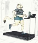  anthro belly bodily_fluids bottle bottomwear cettus clothing crop_top exercise female footwear fur hi_res hotpants mammal maren_sommer mustela mustelid musteline overweight overweight_anthro overweight_female pants running shirt shoes shorts simple_background solo stoat sweat topwear treadmill true_musteline white_body white_fur 