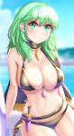  1girl anisdrawn bangs bikini black_bikini blush breasts byleth_(fire_emblem) byleth_(fire_emblem)_(female) capelet dagger fire_emblem fire_emblem:_three_houses fire_emblem_heroes green_eyes green_hair highres knife large_breasts looking_at_viewer medium_hair navel official_alternate_costume smile solo swimsuit tassel weapon 