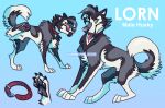  2019 artist_name blue_eyes canid canine canis claws collar countershade_fur countershade_torso countershading dated domestic_dog feral fur grey_body grey_fur husky lorn_(lornsky) lornsky male mammal model_sheet nordic_sled_dog pawpads paws quadruped raised_leg solo spitz tongue tongue_out 