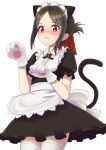  1girl alternate_costume animal_ears apron bangs black_dress blush brown_hair cat_ears cat_girl cat_tail collared_shirt dress enmaided eyebrows_visible_through_hair folded_ponytail gloves hair_ribbon highres jd_(bibirijd) kaguya-sama_wa_kokurasetai_~tensai-tachi_no_renai_zunousen~ kemonomimi_mode looking_at_viewer maid maid_headdress nose_blush parted_bangs paw_gloves paws puffy_short_sleeves puffy_sleeves red_eyes red_ribbon ribbon shinomiya_kaguya shirt short_sleeves sidelocks simple_background solo tail tail_raised thighhighs waist_apron white_apron white_background white_legwear white_shirt 