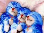  bell cat dog_tags dogtag doraemon fur kitty lowres nose sleeping triple 