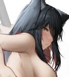  1girl absurdres animal_ear_fluff animal_ears arknights armpits black_hair blush breasts completely_nude from_behind highres large_breasts looking_at_viewer looking_back multicolored_hair nude out-of-frame_censoring parted_lips red_hair solo tab_head texas_(arknights) two-tone_hair upper_body wolf_ears 