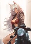  1girl absurdres animal_ears bandages bra breasts cat_ears cigarette cleavage commentary_request eyepatch ghislaine_dedoldia green_shorts ground_vehicle highres jacket large_breasts leather leather_jacket motor_vehicle motorcycle muscular muscular_female mushoku_tensei one-eyed red_bra shiro_font shorts solo underwear 