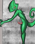  4:5 absurd_res anthro chameleon curved_penis erection genitals hi_res illegaleel leon_powalski lizard male nintendo nude penis pink_penis reptile scalie shower solo star_fox video_games 