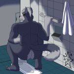  anthro bathroom butt canid canine canis clothing crouching digital_drawing_(artwork) digital_media_(artwork) eye_patch eyewear fafnir_stardust_(artist) feet footwear fur hi_res humanoid_feet male mammal multicolored_body multicolored_fur nintendo sandals solo squat_position squat_toilet star_fox toilet_use two_tone_body two_tone_fur video_games wolf wolf_o&#039;donnell 