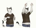  anthro belly black_hair bottomwear cettus clothing domestic_cat exposed_belly felid feline felis fur hair hi_res looking_down looking_up male mammal natan_osorio_suarez pants reaching sequence shirt simple_background slightly_chubby solo topwear white_background white_body white_fur 