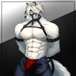  2022 absurd_res anthro artist_name border bulge canid canine canis clothed clothing fur hands_behind_back harness hi_res inner_ear_fluff male mammal mihoyo muscular muscular_male nnknwnn_(artist) red_clothing red_eyes red_underwear solo topless topless_male tuft unbuttoned_pants underwear unimpressed video_games von_lycaon white_body white_fur wolf zenless_zone_zero 