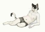  anthro black_hair briefs cettus clothed clothing domestic_cat felid feline felis fur hair lying male mammal natan_osorio_suarez on_side pose pudgy_belly simple_background slightly_chubby smile solo topless underwear white_background white_body white_fur 