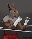 absurd_res angry anthro bottomwear boxing brown_body clothing digital_media_(artwork) fighting_ring frown fur hare hi_res lagomorph leporid male mammal meganwitt muscular muscular_male rabbit shirtless shorts simple_background solo sport 
