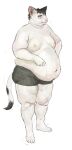  anthro belly big_belly black_hair briefs cettus clothed clothing domestic_cat felid feline felis fur hair hi_res male mammal natan_osorio_suarez obese obese_anthro obese_male overweight overweight_anthro overweight_male simple_background solo standing stretch_marks topless underwear white_background white_body white_fur 
