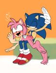  5_toes absurd_res amy_rose anthro blue_body blue_fur clothing duo eulipotyphlan feet female fur gloves handwear hedgehog hi_res humanoid_feet lettuce_(artist) looking_pleasured male male/female mammal nude on_lap pink_body pink_fur sega soles sonic_the_hedgehog sonic_the_hedgehog_(series) spank_marks spanking spanking_butt toes 