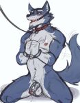  absurd_res anthro balls bdsm blue_body blue_fur canid canine canis chastity_device collar cuff_(restraint) fur genitals handcuffs hi_res humanoid_genitalia humanoid_penis kneeling looking_at_another male mammal metal_cuffs penis pike_(rimba_racer) restraints rimba_racer simple_background solo_focus vhkansfweer white_body white_fur wolf 