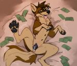  animal_genitalia animal_pussy anthro anus banknote bodily_fluids brown_body brown_fur brown_hair canid canine canine_pussy canis claws domestic_dog ear_piercing ear_ring elcy feet female fur genital_fluids genitals hair looking_at_viewer lying mammal money multi_nipple narrowed_eyes neck_tuft nipples on_back pawpads piercing presenting pussy pussy_juice ring_piercing solo tan_body tan_fur tongue tongue_out tuft 