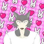  &lt;3 beastars canid canine canis clothing dotted_background eye_scar facial_scar female fur grey_body grey_fur haru_(beastars) head_only heart_(marking) hi_res humanoid lagomorph legoshi_(beastars) leporid looking_at_viewer love male male/female mammal narrowed_eyes open_mouth pattern_background pink_background rabbit scar scar_over_eye scared shirt simple_background smile solo squint topwear white_body white_clothing white_fur white_head white_shirt white_topwear wolf xdzy111 