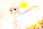  absurdres cherry_blossom dress highres hisuri_rii long_hair purple_eyes sky sun sunset white_dress white_hair 
