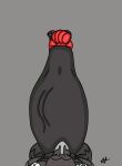  animated anthro avian balls big_balls big_penis bird cardinal_(bird) cock_vore corvid corvus_(genus) duo frederick_niche genitals hi_res huge_balls huge_penis hyper hyper_balls hyper_genitalia hyper_penis male male/male nipple_piercing nipples noisebird oscine passerine penile penis piercing raven tattoo vore 