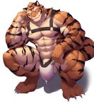  abs absurd_res accessory anthro biceps blush bodily_fluids bottomwear chest_belt claws clothing crouching cum cum_in_clothing cum_in_underwear cum_through_clothing cum_through_underwear felid fur genital_fluids genitals hand_on_head hi_res holding_object humanoid_genitalia humanoid_penis leaking_cum looking_at_viewer male mammal muscular muscular_anthro muscular_male muscular_thighs nipples orange_body orange_fur pantherine pecs penis pink_nose pose precum rann serratus sharp_claws simple_background solo striped_body stripes striptease tiger triceps tuft underwear undressed vein wet wet_clothing wet_underwear white_background 