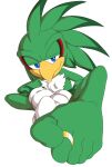  5_toes absurd_res accipitrid accipitriform anthro avian barefoot bird digit_ring feet foot_focus foot_ninja15 hi_res humanoid humanoid_feet jet_the_hawk jewelry male ring sega solo sonic_riders sonic_the_hedgehog_(series) toe_ring toes 