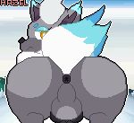  anal_wink animal_genitalia animal_penis animated anus backsack balls big_butt black_penis blue_body blue_fur bouncing_balls bouncing_butt butt canine_penis feral fur genitals girly grey_body grey_fur hazelninetales hi_res hisuian_form hisuian_zorua looking_at_viewer male nintendo penis pokemon pokemon_(species) puffy_anus rear_view regional_form_(pokemon) shiny_pokemon short_playtime solo video_games yellow_eyes 