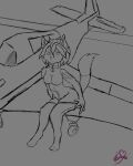  absurd_res aircraft airplane airport anthro bell bell_collar clothing collar felid feline female hi_res legwear lilia_peach mammal solo stockings theartlynx thigh_highs 