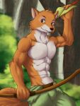  2021 3:4 5_fingers abs absurd_res anthro athletic athletic_anthro athletic_male black_nose bottomwear bow_(weapon) canid canine chibikoma clothed clothing digital_media_(artwork) disney fingers forest fox fur hat headgear headwear hi_res holding_bow_(weapon) holding_clothing holding_hat holding_headgear holding_headwear holding_object humanoid_hands male mammal multicolored_body multicolored_fur nature navel orange_body orange_fur outside pants pecs plant ranged_weapon robin_hood robin_hood_(disney) smile solo topless topless_anthro topless_male tree two_tone_body two_tone_fur weapon white_body white_fur 