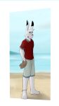  absurd_res anthro band-aid bandage barefoot beach blue_eyes clothing digital_drawing_(artwork) digital_media_(artwork) eyebrows feet flip_flops footwear francis_(gearfox98) fur gearfox98 hare hi_res lagomorph leporid male mammal sand sandals seaside shirt solo t-shirt thick_eyebrows topwear white_body white_fur 