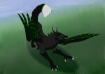  avian black feral grass gryph gryphon male mythological_avian mythology plant sketch solo zhekathewolf ztw2022 