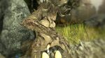  16:9 bethesda_softworks birth bodily_fluids breasts deathclaw egg fallout female feral forest forest_background genital_fluids hi_res nature nature_background null_sfm oviposition plant pregnant pregnant_female pussy_juice reptile scalie solo solo_focus tongue tongue_out tree video_games widescreen 