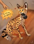  &lt;3 2022 ambiguous_gender digital_media_(artwork) felid feline feral flashw mammal serval yellow_eyes 