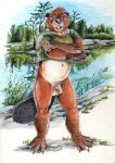  2022 anthro balls beaver bottomless brown_body brown_fur buckteeth claws clothed clothing flaccid forest fur genitals green_eyes heather_bruton male mammal penis plant rodent sky snow solo tan_body tan_fur teeth tree water whiskers winter 