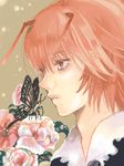  androgynous antennae bad_id bad_pixiv_id bug butterfly close-up face flower hunter_x_hunter insect j-peg male_focus pink_flower pink_rose red_hair rose shauapufu solo tegaki 