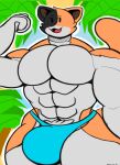  anthro beach black_body black_fur bulge calico_cat clothing darkandlife2 domestic_cat epic_games felid feline felis fortnite fur hi_res jockstrap jockstrap_only male mammal meowscles mostly_nude mottled muscular orange_body orange_fur pecs piebald pubes seaside simple_background solo underwear video_games white_body white_fur 