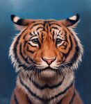  2022 ambiguous_gender black_stripes digital_media_(artwork) felid feral fur johis mammal orange_body orange_eyes orange_fur pantherine pink_nose solo striped_body striped_fur stripes tiger whiskers white_body white_fur 