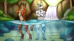  absurd_res ahaditiger anthro convenient_censorship crossed_arms detailed_background duo felid hi_res lagomorph leporid male male/male mammal nature nude pantherine plantigrade rabbit siberian_tiger stripes sunny_frostwolf swimming tiger waterfall 