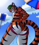  absurd_res ahaditiger anthro blue_sky butt clothing cloud felid hi_res jockstrap looking_at_viewer male mammal mostly_nude pantherine siberian_tiger sign sky solo stripes sunny_frostwolf tiger umbrella underwear wet wet_body 